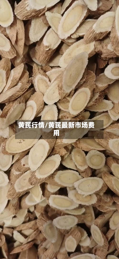 黄芪行情/黄芪最新市场费用