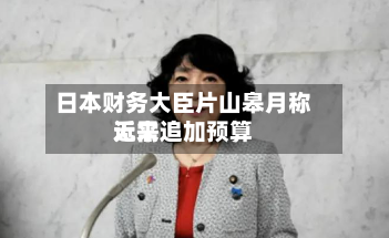 日本财务大臣片山皋月称近来无需追加预算