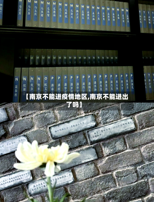 【南京不能进疫情地区,南京不能进出了吗】