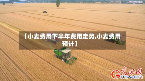 【小麦费用下半年费用走势,小麦费用预计】