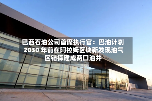 巴西石油公司首席执行官：巴油计划 2030 年前在阿拉姆区块新发现油气区钻探建成两口油井