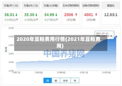 2020年豆粕费用行情(2021年豆粕费用)-第3张图片