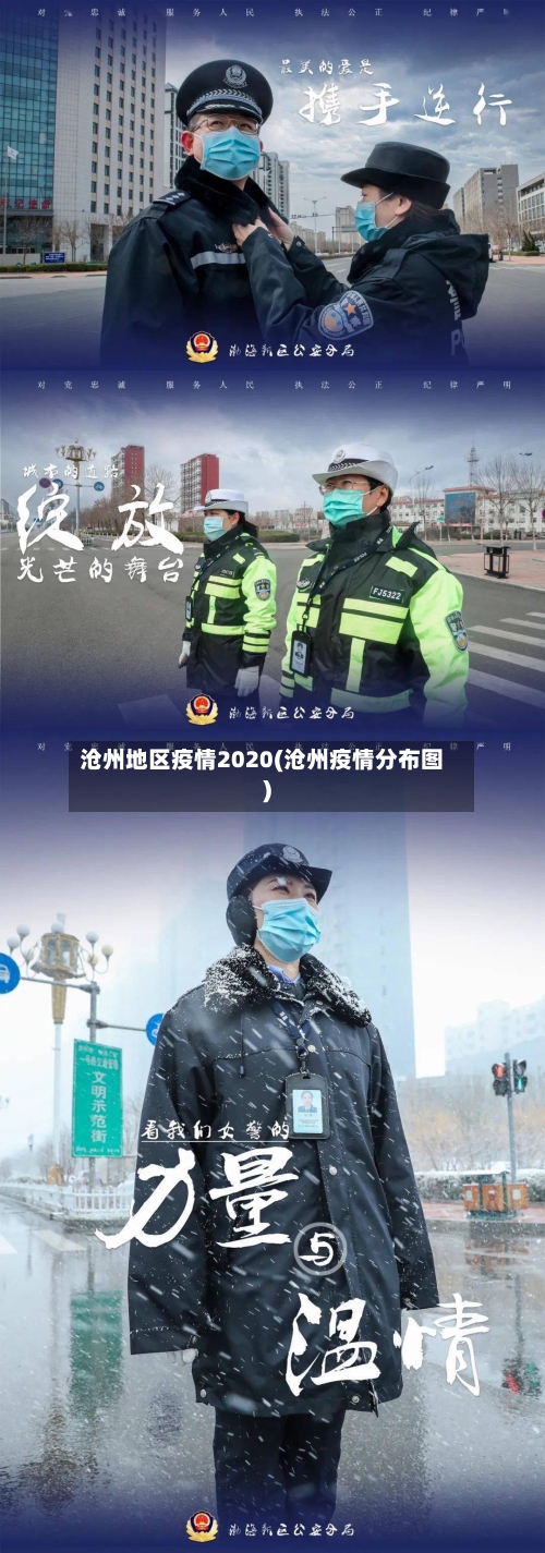 沧州地区疫情2020(沧州疫情分布图)
