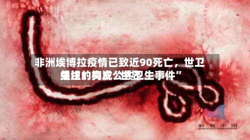 非洲埃博拉疫情已致近90死亡，世卫组织：构成“世界关注的突发公共卫生事件”