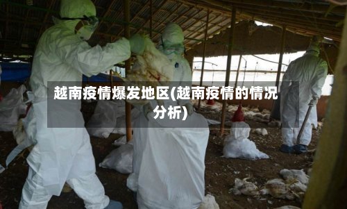 越南疫情爆发地区(越南疫情的情况分析)-第3张图片