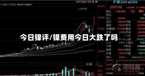 今日镍评/镍费用今日大跌了吗-第3张图片