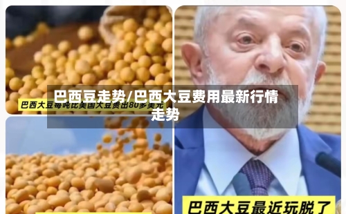 巴西豆走势/巴西大豆费用最新行情走势-第3张图片
