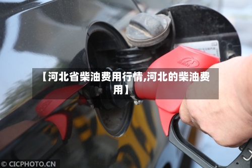 【河北省柴油费用行情,河北的柴油费用】-第3张图片