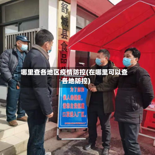 哪里查各地区疫情防控(在哪里可以查各地防控)-第2张图片