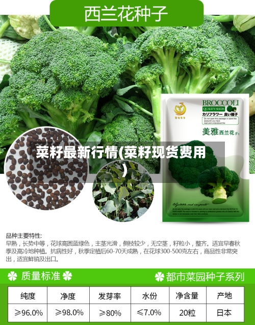 菜籽最新行情(菜籽现货费用)