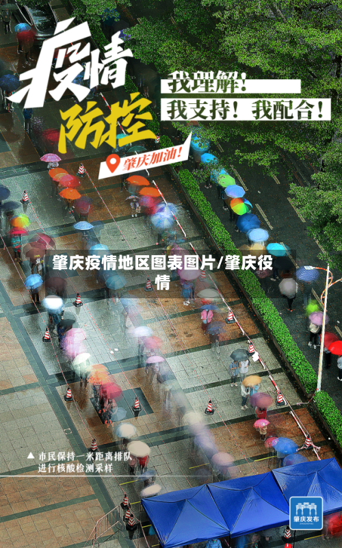 肇庆疫情地区图表图片/肇庆役情-第3张图片