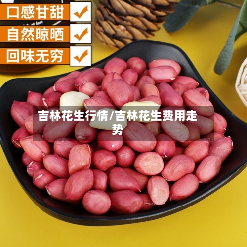 吉林花生行情/吉林花生费用走势