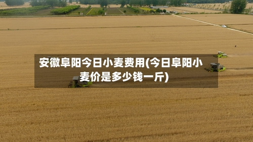 安徽阜阳今日小麦费用(今日阜阳小麦价是多少钱一斤)