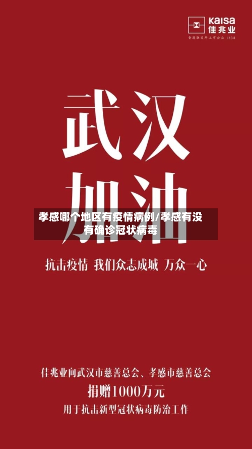 孝感哪个地区有疫情病例/孝感有没有确诊冠状病毒-第2张图片