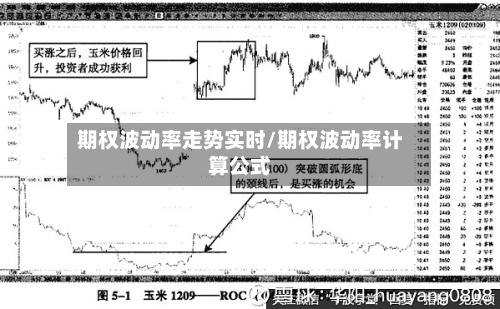 期权波动率走势实时/期权波动率计算公式
