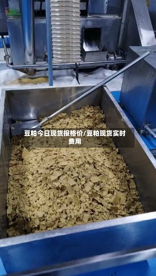 豆粕今日现货报格价/豆粕现货实时费用-第3张图片