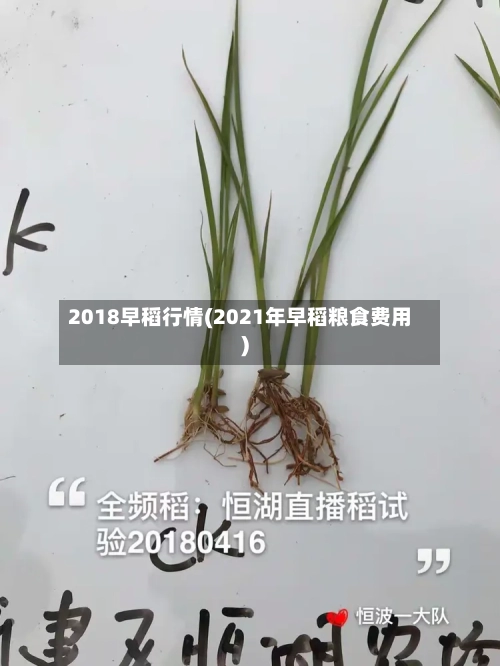 2018早稻行情(2021年早稻粮食费用)