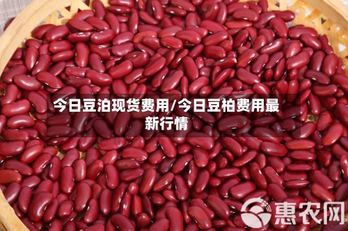 今日豆泊现货费用/今日豆柏费用最新行情