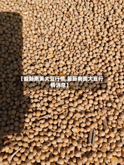 【最新南美大豆行情,最新南美大豆行情消息】-第3张图片