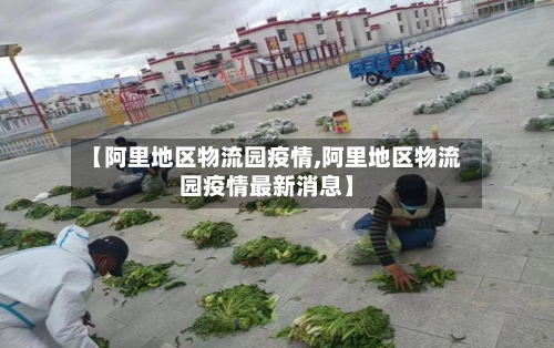【阿里地区物流园疫情,阿里地区物流园疫情最新消息】