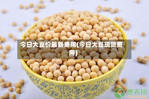 今日大豆价最新费用(今日大豆现货费用)