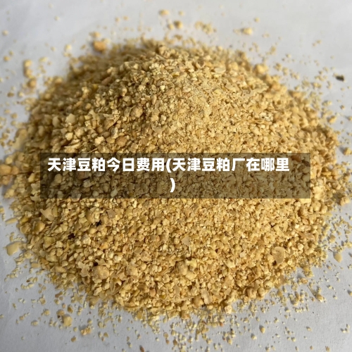 天津豆粕今日费用(天津豆粕厂在哪里)
