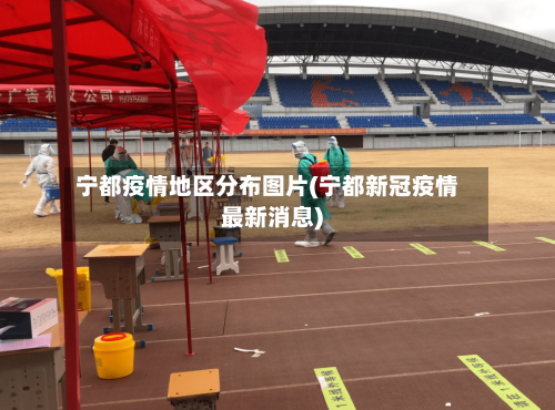 宁都疫情地区分布图片(宁都新冠疫情最新消息)-第2张图片