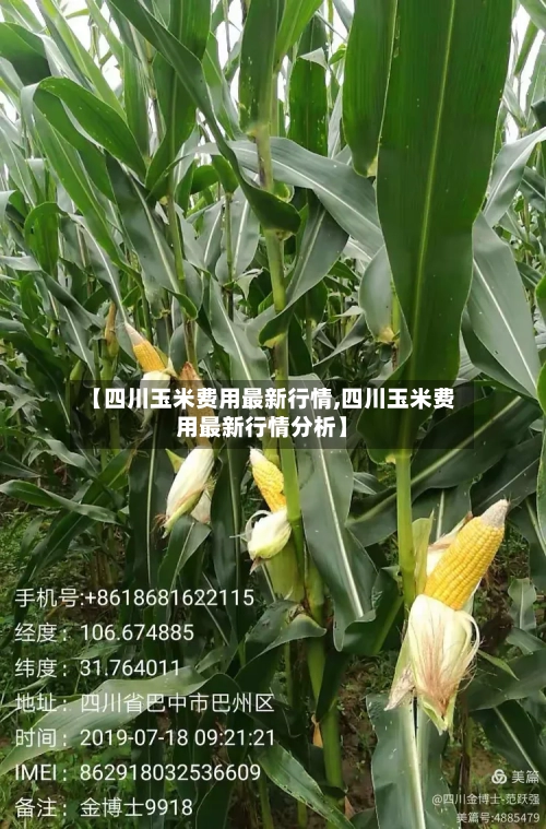【四川玉米费用最新行情,四川玉米费用最新行情分析】