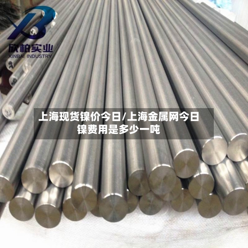 上海现货镍价今日/上海金属网今日镍费用是多少一吨-第2张图片