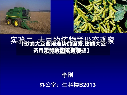 【影响大豆费用走势的因素,影响大豆费用走势的因素有哪些】