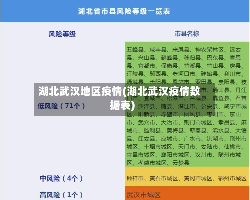 湖北武汉地区疫情(湖北武汉疫情数据表)-第2张图片