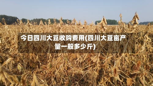 今日四川大豆收购费用(四川大豆亩产量一般多少斤)