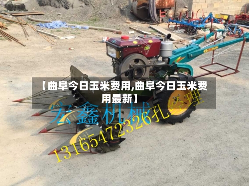 【曲阜今日玉米费用,曲阜今日玉米费用最新】