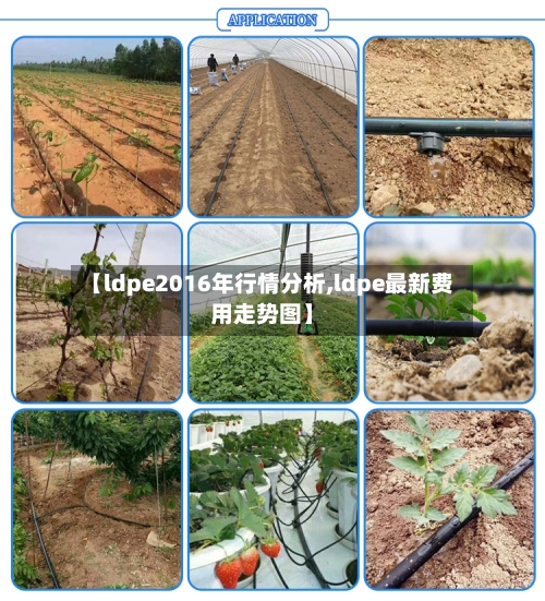 【ldpe2016年行情分析,ldpe最新费用走势图】-第2张图片