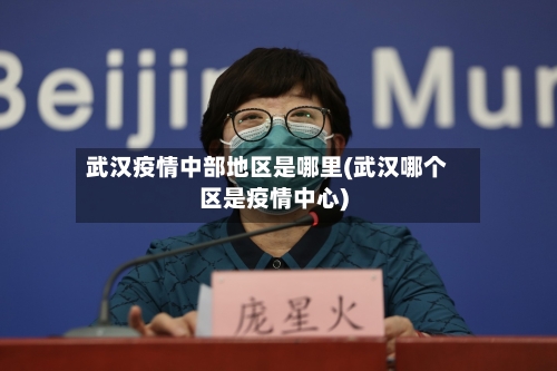 武汉疫情中部地区是哪里(武汉哪个区是疫情中心)