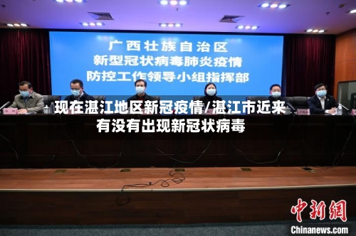 现在湛江地区新冠疫情/湛江市近来有没有出现新冠状病毒-第2张图片