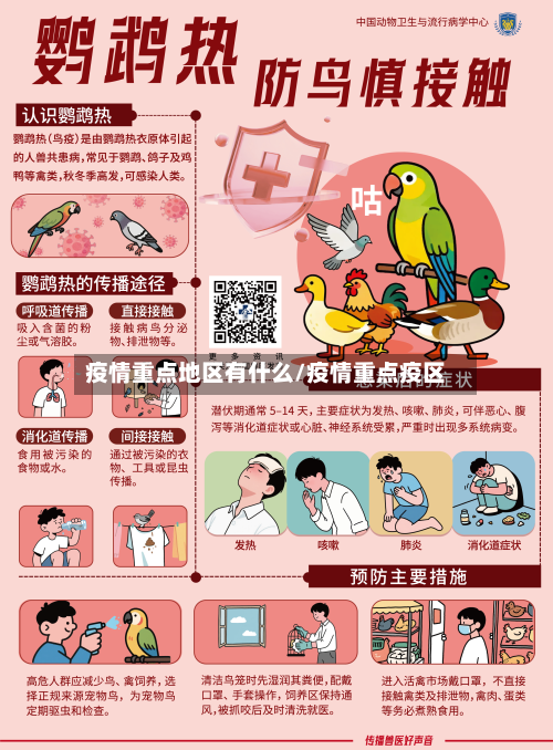 疫情重点地区有什么/疫情重点疫区