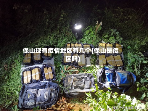 保山现有疫情地区有几个(保山是疫区吗)-第2张图片