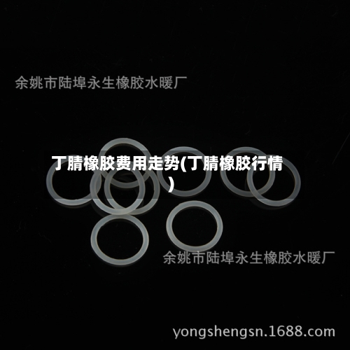 丁腈橡胶费用走势(丁腈橡胶行情)