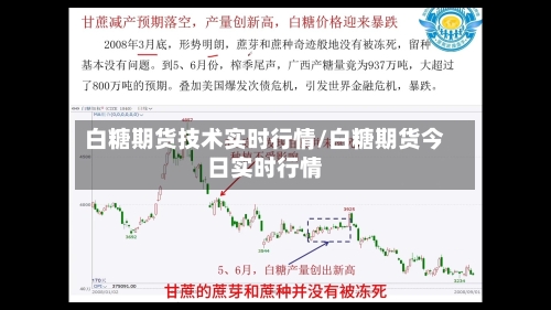白糖期货技术实时行情/白糖期货今日实时行情