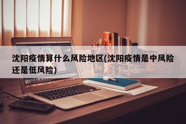 沈阳疫情算什么风险地区(沈阳疫情是中风险还是低风险)