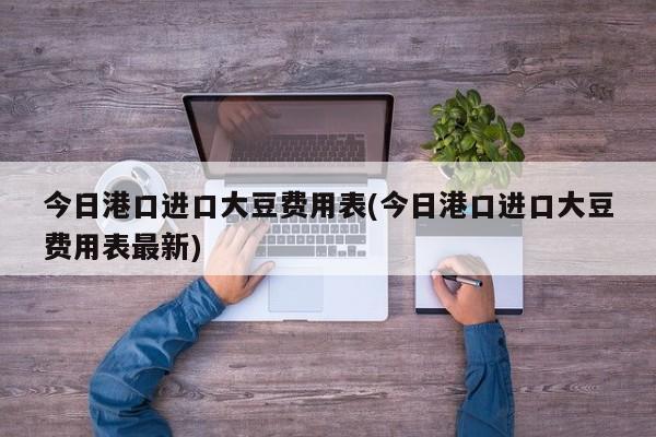 今日港口进口大豆费用表(今日港口进口大豆费用表最新)