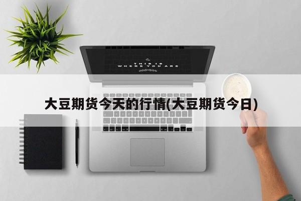 大豆期货今天的行情(大豆期货今日)